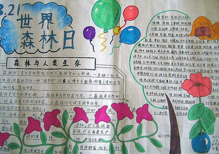 關(guān)于2019年世界森林日的手抄報(bào)，森林與人類生存