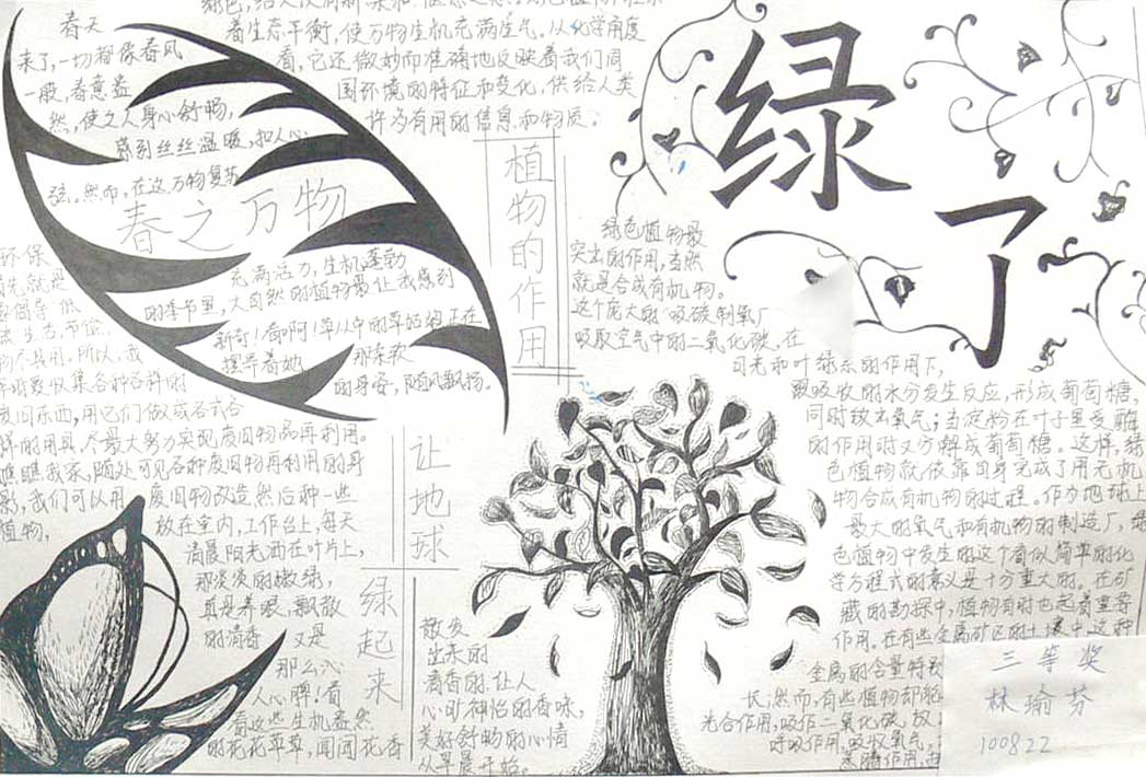 植樹節(jié)手抄報，英文植樹節(jié)小報