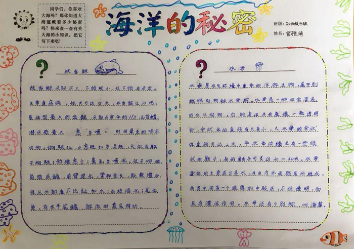 美麗的水母