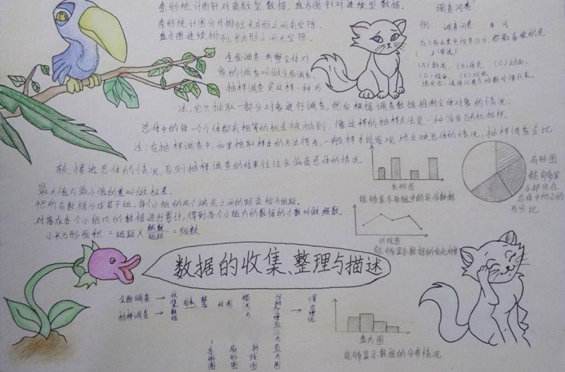 數(shù)學(xué)手抄報(bào)圖片，數(shù)據(jù)的收集與整理