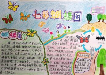 生物手抄報(bào)簡(jiǎn)單又好看，七彩蝴蝶園