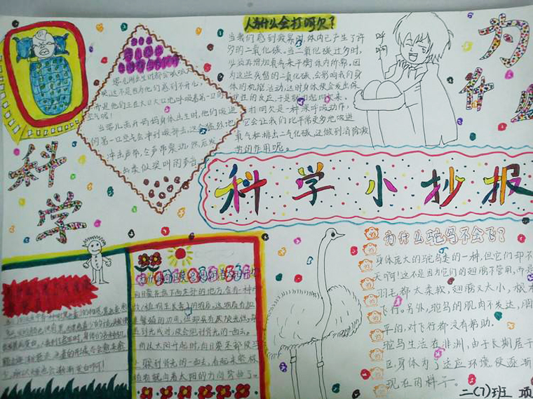 好看的科學(xué)小抄報(bào)，身邊的科學(xué)