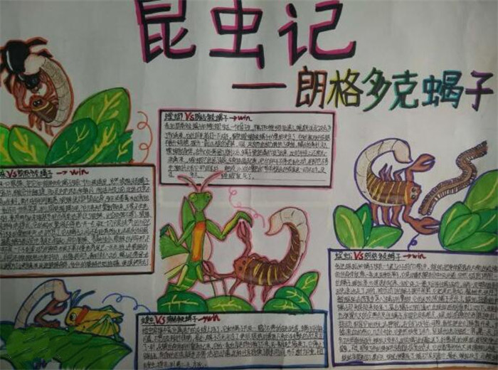 昆蟲(chóng)記小報(bào)