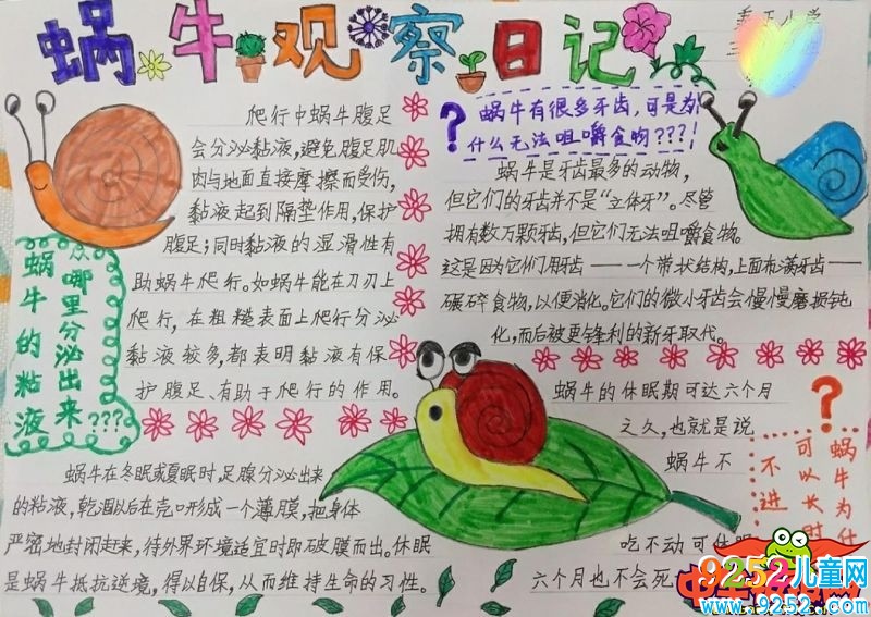生物<a href=http://www.inspiredelm.com/shouchaobao/ target=_blank class=infotextkey>手抄報</a>簡單又漂亮，蝸牛觀察<a href=http://www.inspiredelm.com/riji/ target=_blank class=infotextkey>日記</a>