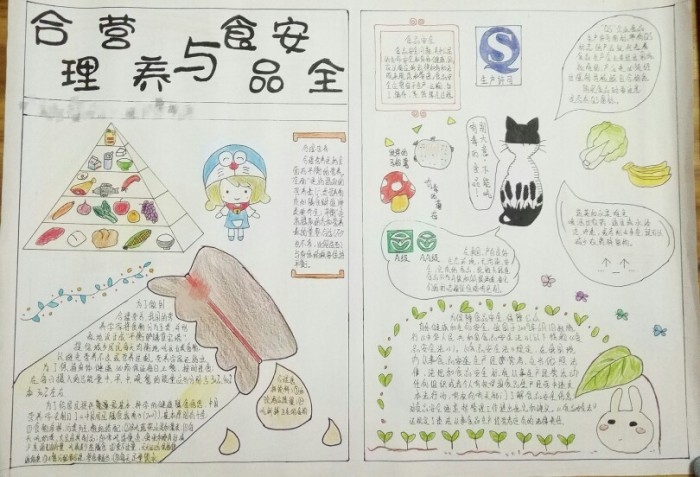 合理營(yíng)養(yǎng)與食品安全