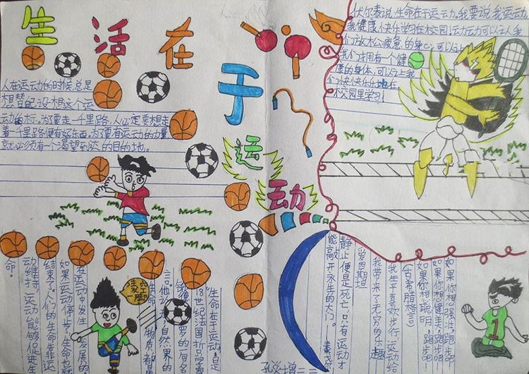 體育手抄報內容，生活在于運動