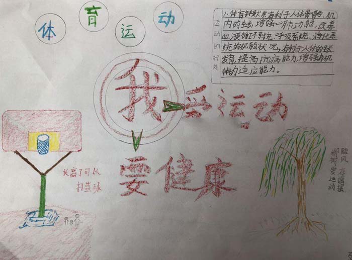 體育運(yùn)動手抄報的圖片，我愛運(yùn)動要健康