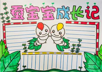 蠶寶寶的生長(zhǎng)過(guò)程手抄報(bào)