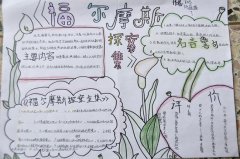 閱讀名著讀書(shū)手抄報(bào)，書(shū)香書(shū)籍閱讀知識(shí)手抄報(bào)