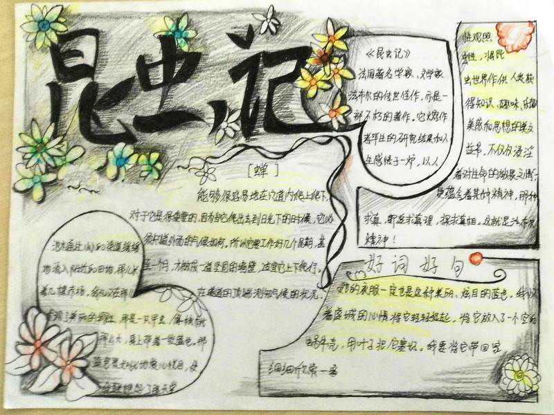 名著手抄報，讀昆蟲記有感