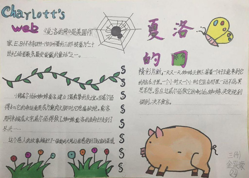 暑假讀書手抄報，夏洛的網(wǎng)