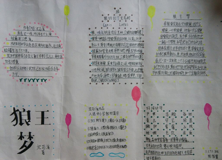 讀書手抄報，狼王夢