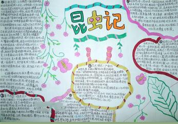 昆蟲(chóng)記手抄報(bào)簡(jiǎn)單又漂亮，昆蟲(chóng)記閱讀感悟