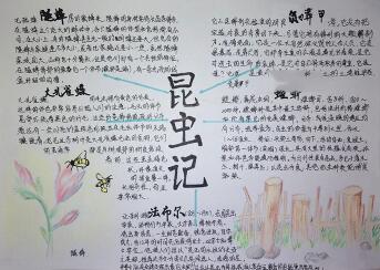 昆蟲記手抄報簡單好看，昆蟲記讀后感