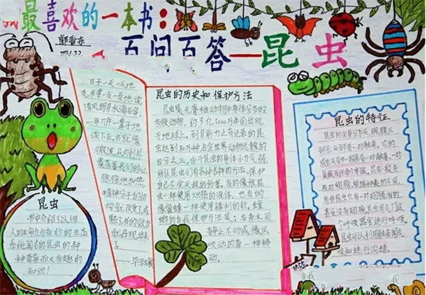讀書手抄報，昆蟲日記