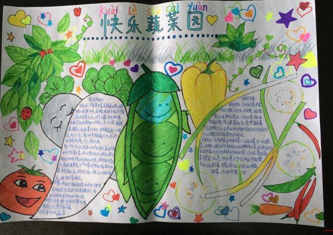 讀書手抄報，快樂書菜園