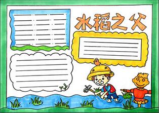 水稻之父手抄報(bào)怎么畫？