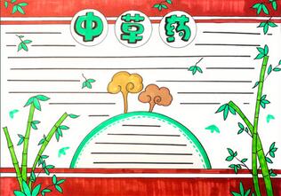 中草藥手抄報(bào)怎么畫？