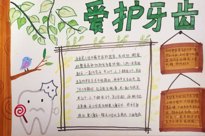 漂亮的愛護牙齒手抄報圖片，請愛護我們的牙齒