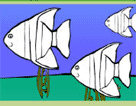 小魚填顏色