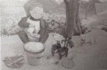 小學(xué)生一年級看圖寫話-吃粽子