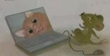 小學生一年級看圖寫話-電腦