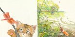 小學(xué)生一年級(jí)看圖寫話-小貓釣魚