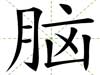 腦
