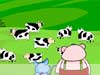 what are they