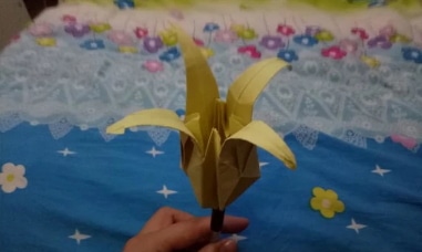 百合花的視頻折法