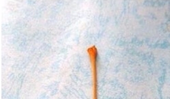 康乃馨的視頻折法