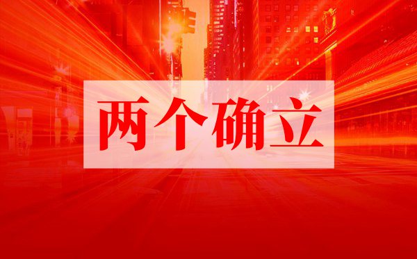 兩個(gè)確立心得體會(huì)精選10篇,學(xué)習(xí)兩個(gè)確立有感800字范文