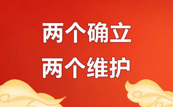 兩個確立兩個維護心得體會范文5篇