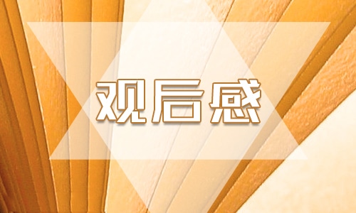 恰同學(xué)少年風(fēng)華正茂少先隊建隊日觀后感