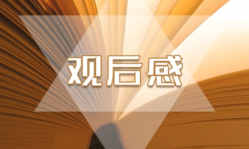 恰同學少年風華正茂少先隊建隊日央視節(jié)目觀后感7篇
