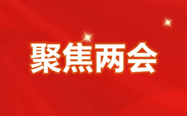 2022年全國兩會精神心得體會200字范文