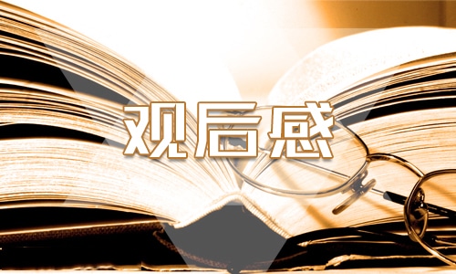 游覽博物館優(yōu)秀觀后感