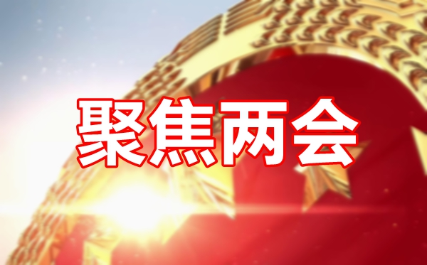 全國(guó)兩會(huì)觀后感2021,學(xué)習(xí)兩會(huì)精神心得范文5篇