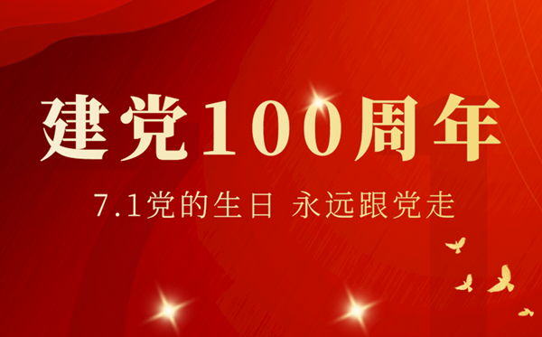 建黨100周年主題黨課學習心得體會范文