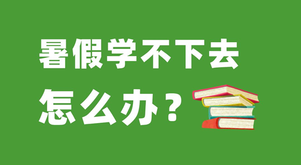 高中生暑假學(xué)習(xí)計劃表,高中生暑假怎么安排