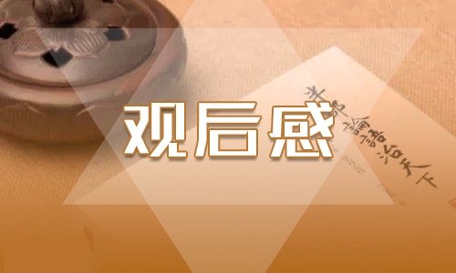 同上一堂法治課觀后感300字